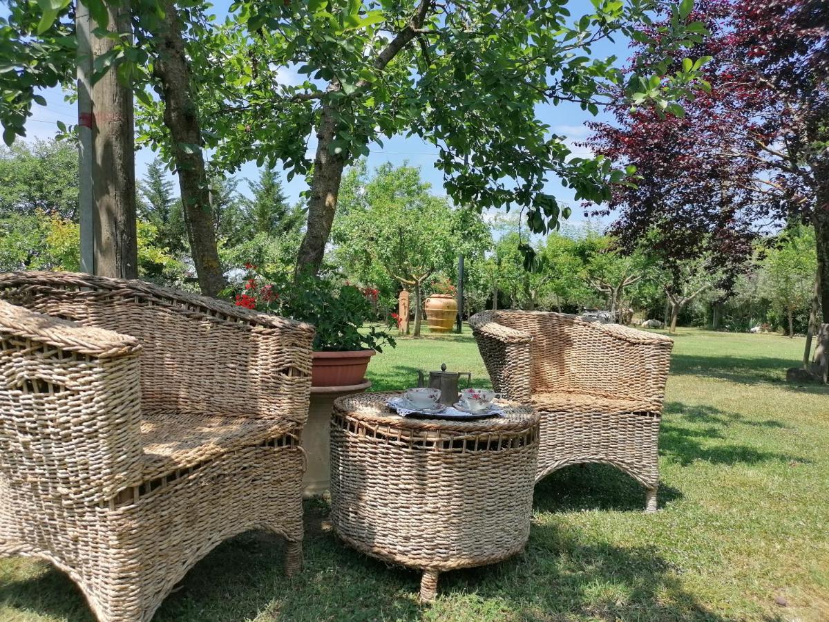 Podere Piandarca Terranuova Bracciolini Ngoại thất bức ảnh