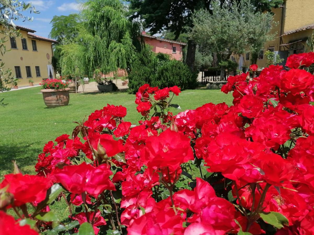 Podere Piandarca Terranuova Bracciolini Ngoại thất bức ảnh