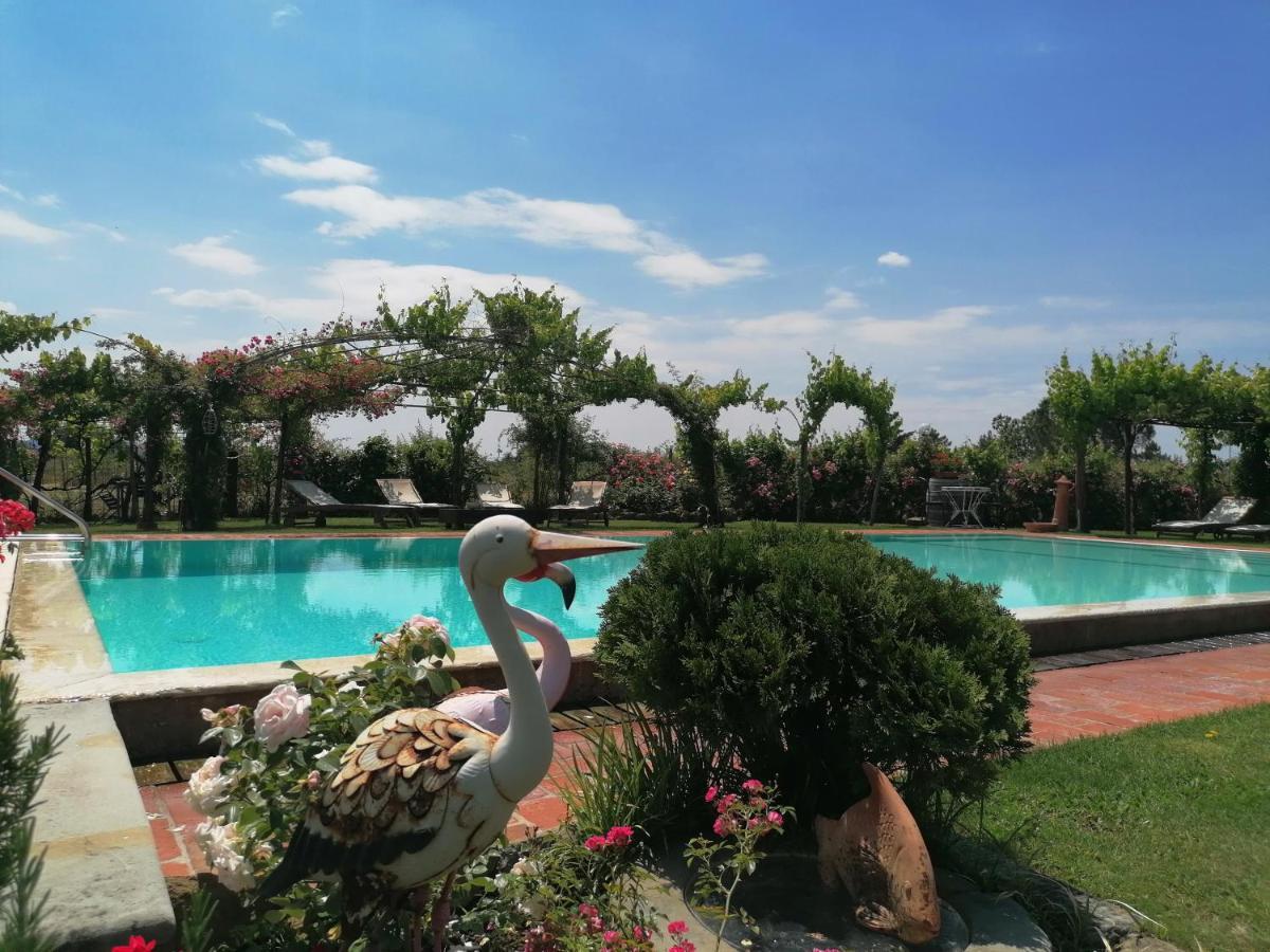 Podere Piandarca Terranuova Bracciolini Ngoại thất bức ảnh