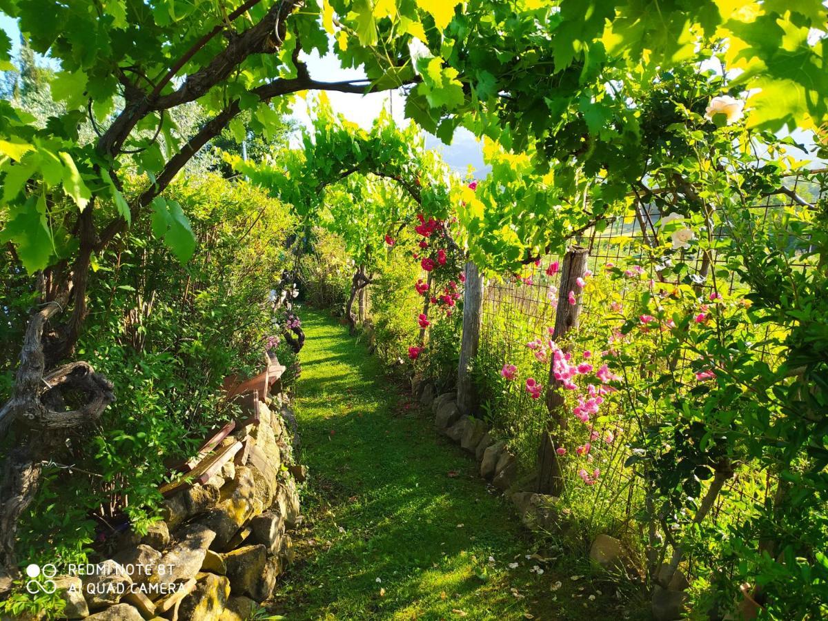 Podere Piandarca Terranuova Bracciolini Ngoại thất bức ảnh