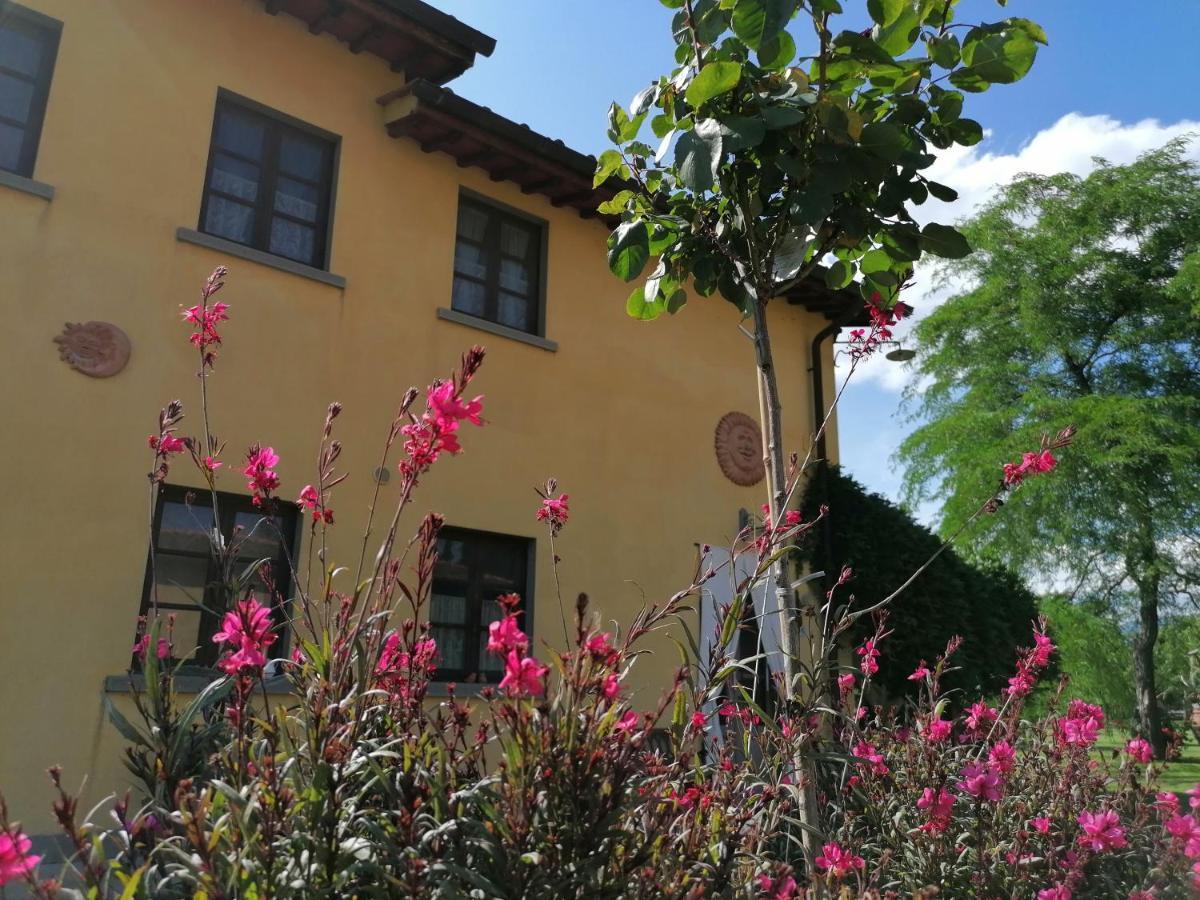 Podere Piandarca Terranuova Bracciolini Ngoại thất bức ảnh