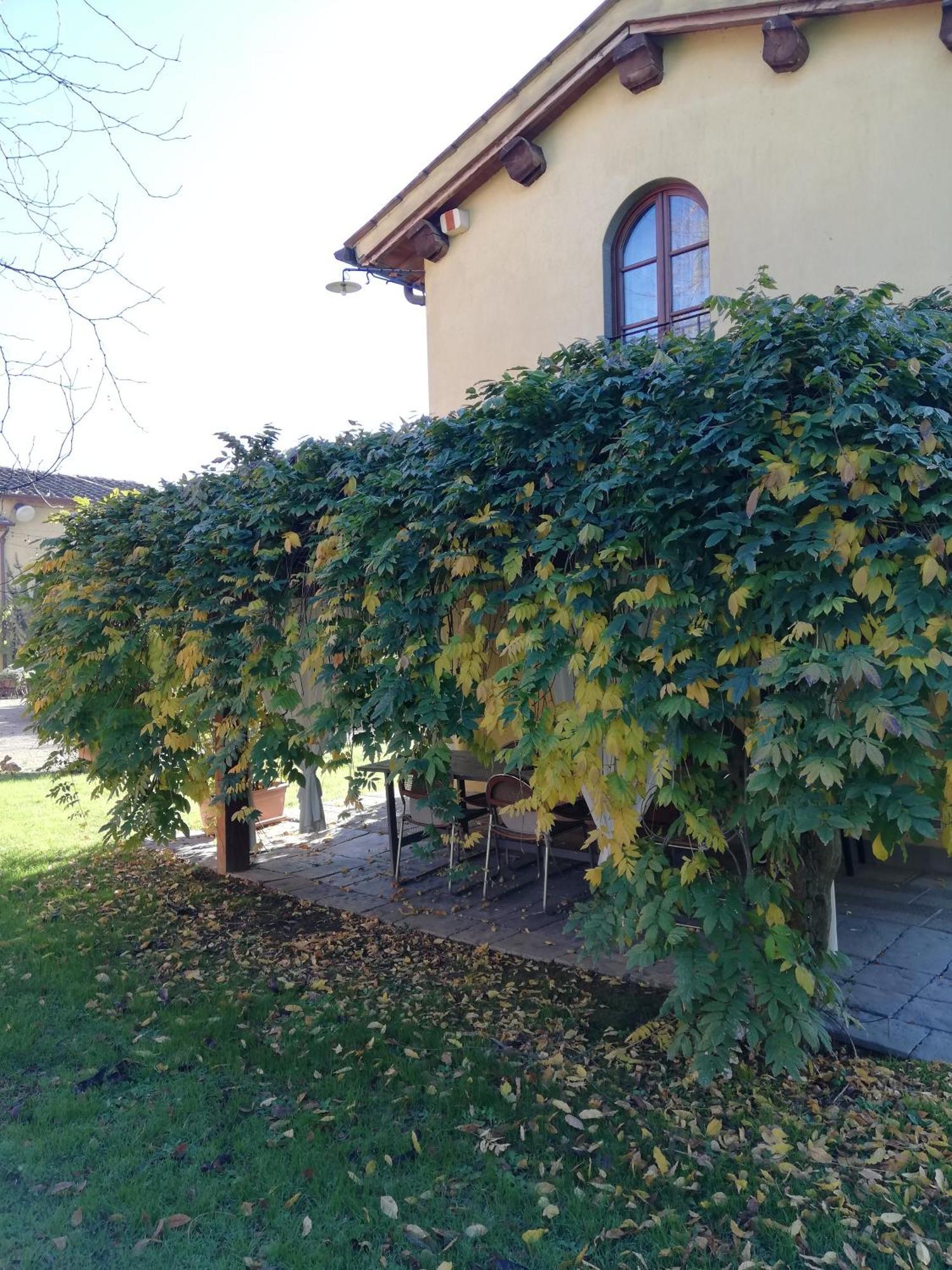 Podere Piandarca Terranuova Bracciolini Ngoại thất bức ảnh